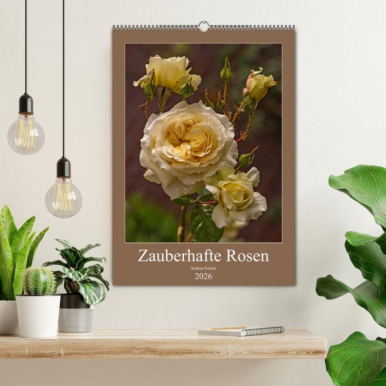 Produktbild: Zauberhafte Rosen (Wandkalender 2026 DIN A2 hoch), CALVENDO Monatskalender