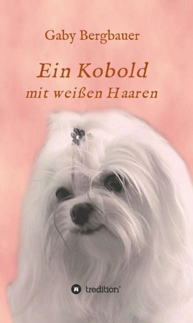 Produktbild: Ein Kobold mit wei&szlig;en Haaren