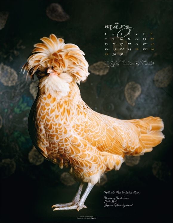 Produktbild: Pretty Chicks Kalender 2027