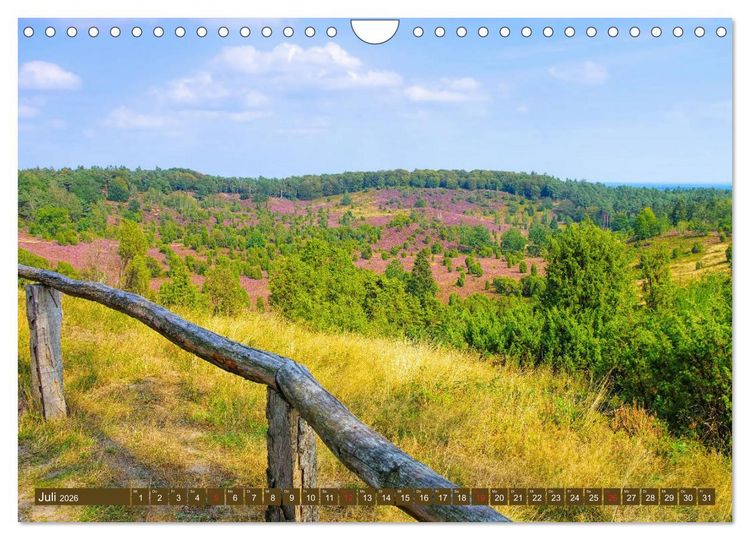 Produktbild: L&uuml;neburger Heide - Wanderung rund um Wilsede und Totengrund (Wandkalender 2026 DIN A4 quer), CALVENDO Monatskalender
