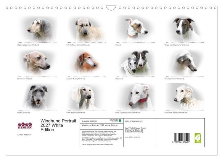 Produktbild: Windhund Portrait 2027 White Edition (Wandkalender 2027 DIN A3 quer), CALVENDO Monatskalender