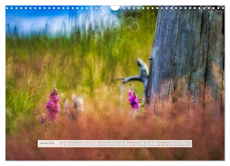 Produktbild: Traumhafte Waldstimmung am Rennsteig im Th&uuml;ringer Wald (Wandkalender 2026 DIN A3 quer), CALVENDO Monatskalender