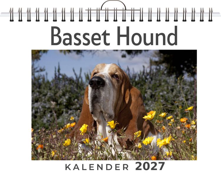 Produktbild: Basset Hound