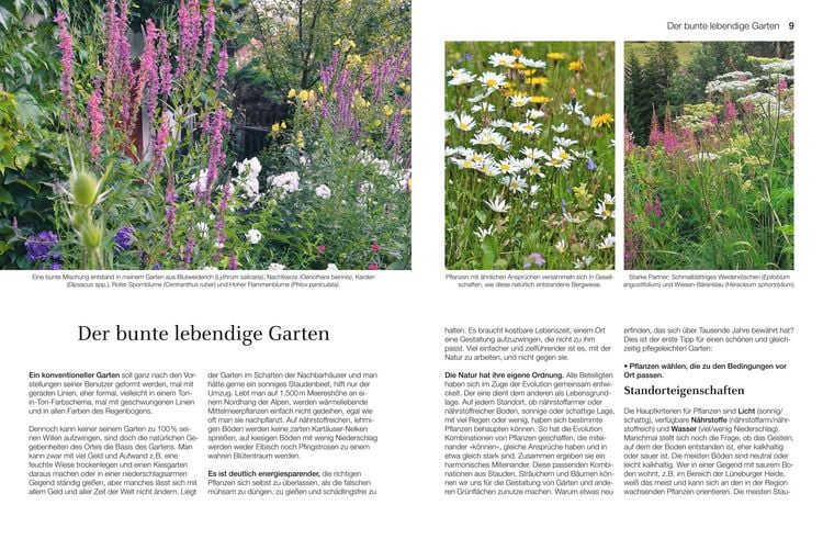 Produktbild: Welche Pflanze passt wohin im Naturgarten?