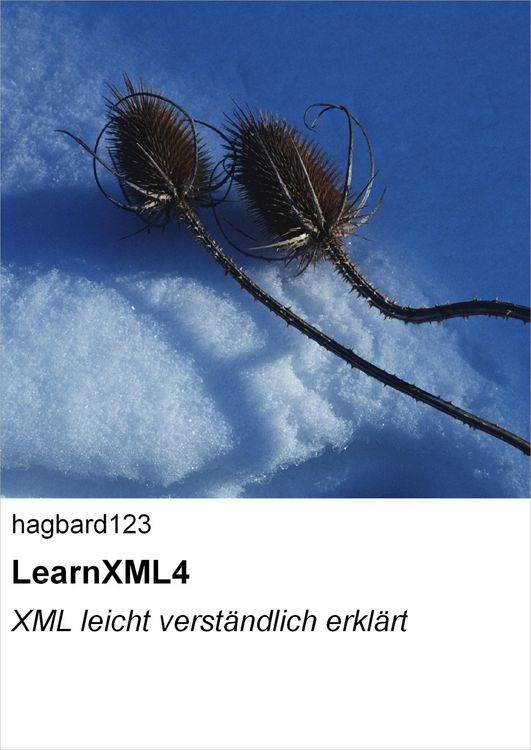 Produktbild: LearnXML4