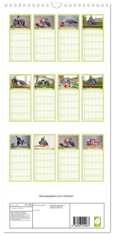 Produktbild: Familienplaner 2026 - Graupapageien zum Verlieben mit 5 Spalten (Wandkalender, 21 x 45 cm) CALVENDO