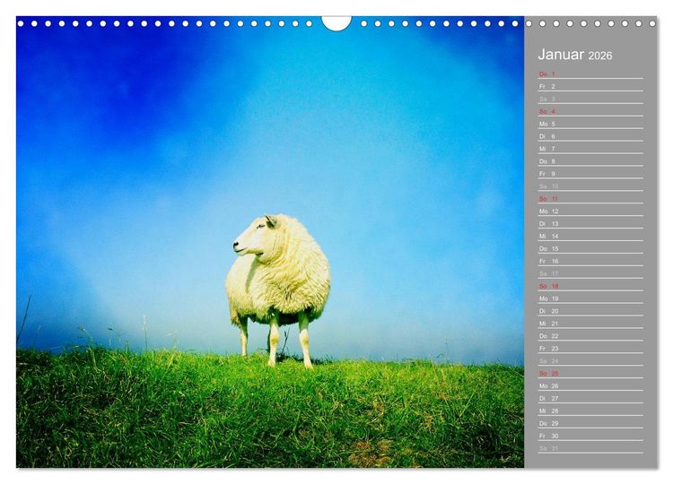 Produktbild: AUF DEM DEICH (Wandkalender 2026 DIN A3 quer), CALVENDO Monatskalender