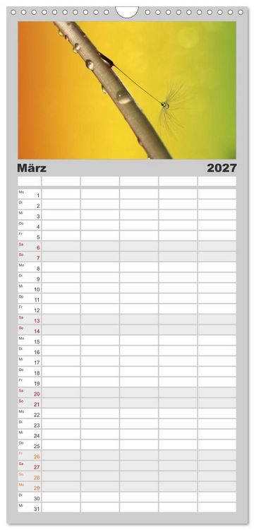 Produktbild: Familienplaner 2027 - Puste mal! mit 5 Spalten (Wandkalender, 21 x 45 cm) CALVENDO