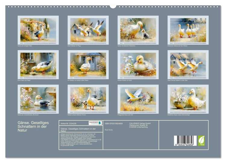 Produktbild: G&auml;nse. Geselliges Schnattern in der Natur (hochwertiger Premium Wandkalender 2027 DIN A2 quer), Kunstdruck in Hochglanz