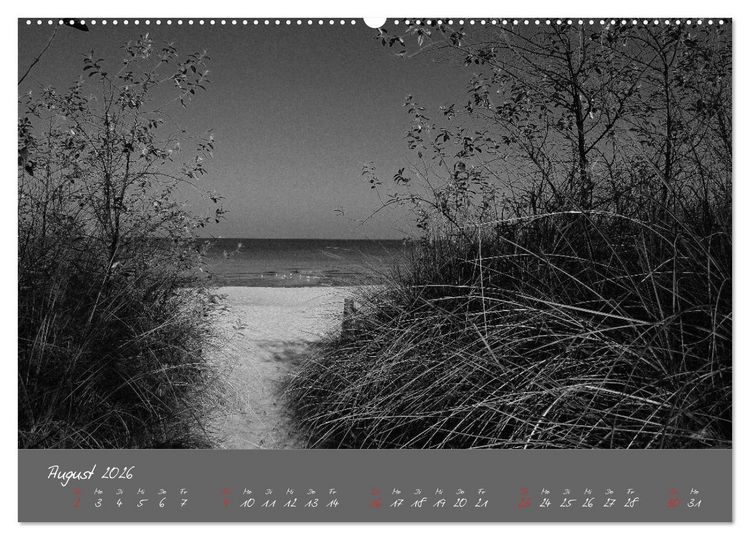 Produktbild: Wege zum Meer (Wandkalender 2026 DIN A2 quer), CALVENDO Monatskalender