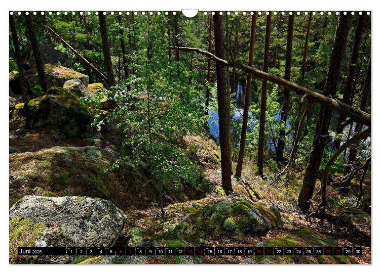 Produktbild: Tiveden, der NatURWALD in Schweden (Wandkalender 2026 DIN A3 quer), CALVENDO Monatskalender