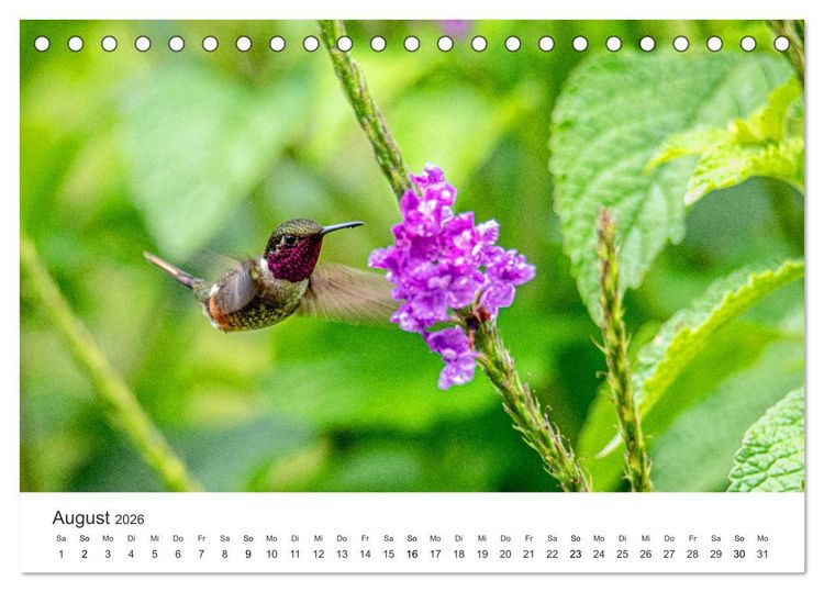 Produktbild: Costa Rica - exotische Tierwelt und unber&uuml;hrte Natur (Tischkalender 2026 DIN A5 quer), CALVENDO Monatskalender