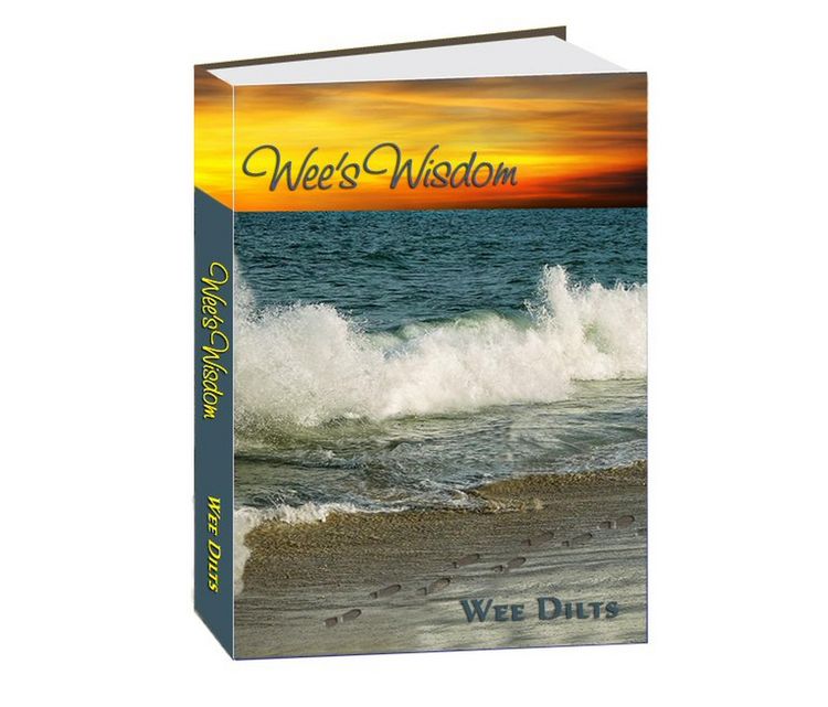 Produktbild: Wee's Wisdom