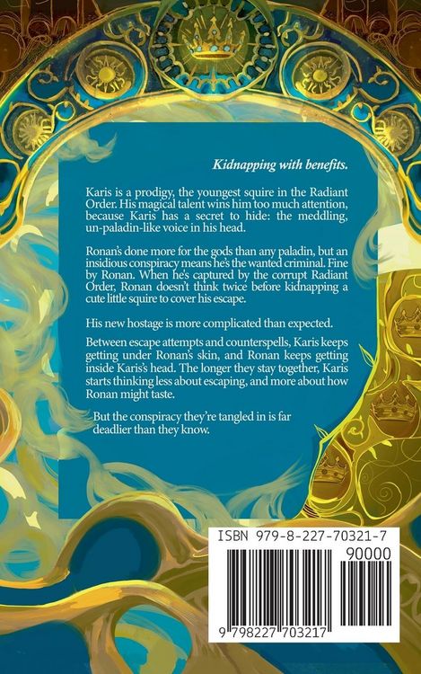 Produktbild: The Paladin's Shadow