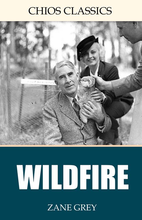 Produktbild: Wildfire