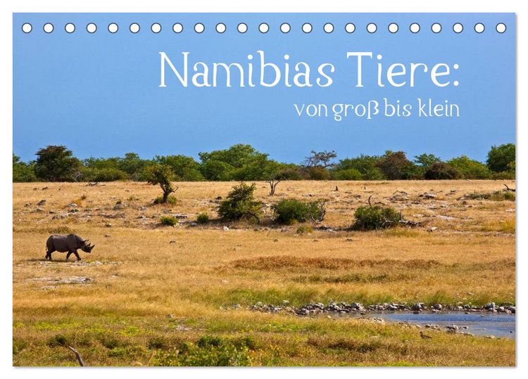 Produktbild: Namibias Tiere: von gro&szlig; bis klein (Tischkalender 2026 DIN A5 quer), CALVENDO Monatskalender