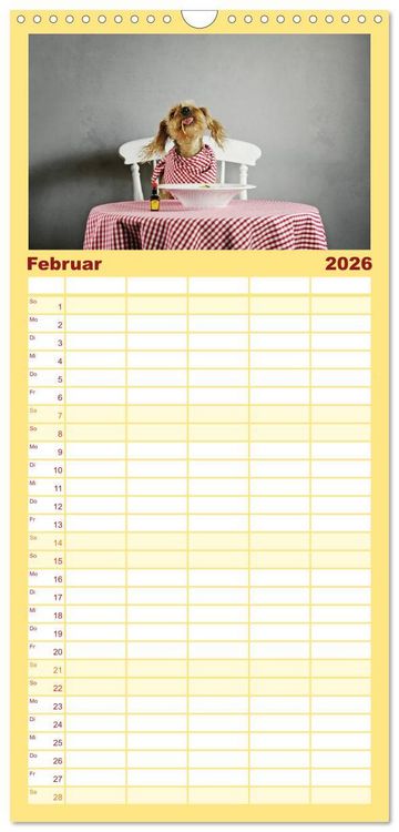 Produktbild: Familienplaner 2026 - DACKELmix Elli Pirelli mit 5 Spalten (Wandkalender, 21 x 45 cm) CALVENDO