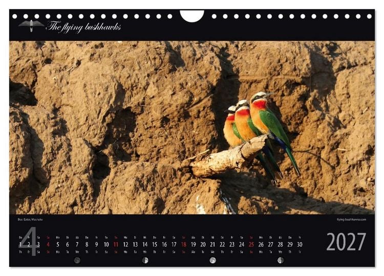 Produktbild: Botswana Blickwinkel 2027 (Wandkalender 2027 DIN A4 quer), CALVENDO Monatskalender