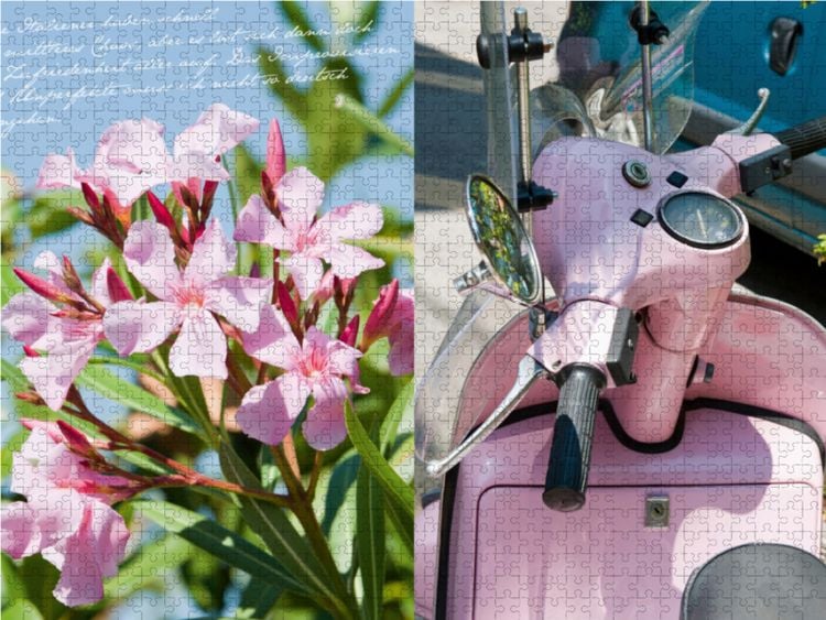 Produktbild: CALVENDO Puzzle Rosa Vespa und Oleander | 1000 Teile Lege-Gr&ouml;&szlig;e 64x48cm Foto-Puzzle f&uuml;r gl&uuml;ckliche Stunden
