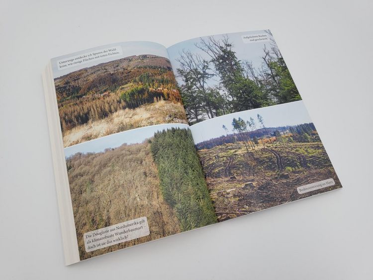 Produktbild: Der Waldwanderer
