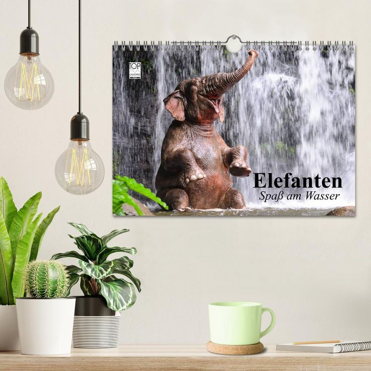Produktbild: Elefanten. Spa&szlig; am Wasser (Wandkalender 2026 DIN A4 quer), CALVENDO Monatskalender
