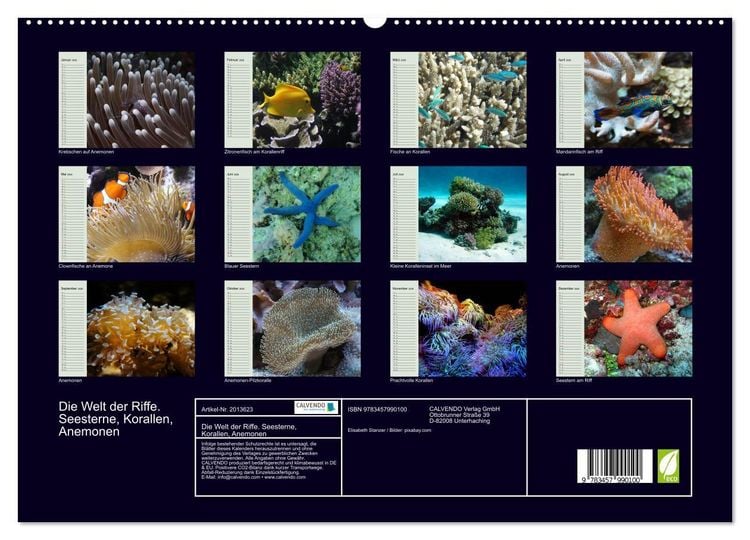 Produktbild: Die Welt der Riffe. Seesterne, Korallen, Anemonen (hochwertiger Premium Wandkalender 2026 DIN A2 quer), Kunstdruck in Hochglanz