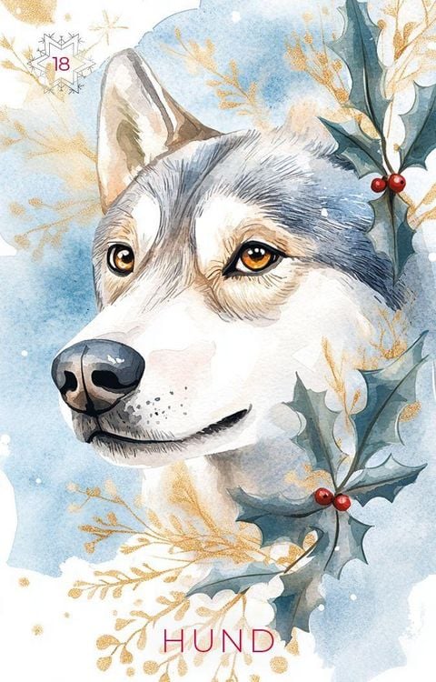 Produktbild: Frosted Dreams Lenormand - 38 farbige Lenormand-Karten und ein 68-seitiges Booklet in Faltschachtel