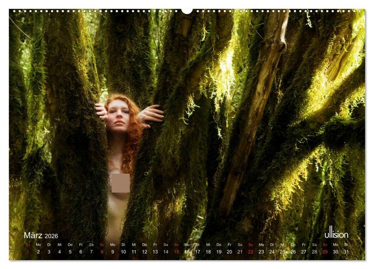 Produktbild: ZAUBERWALD Mystik der Natur (hochwertiger Premium Wandkalender 2026 DIN A2 quer), Kunstdruck in Hochglanz
