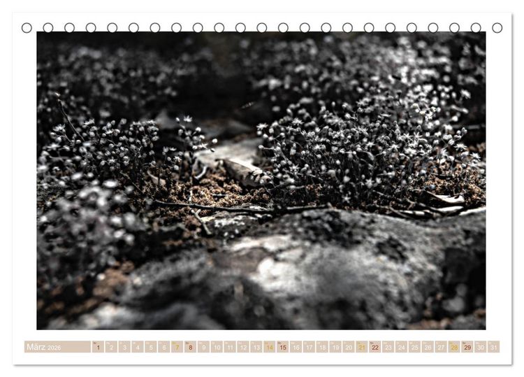 Produktbild: Sardinien Impressionen (Tischkalender 2026 DIN A5 quer), CALVENDO Monatskalender