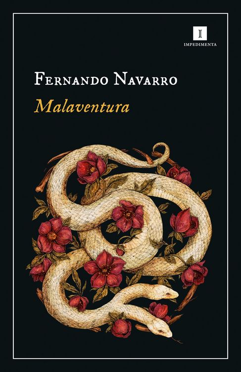 Bild vom Artikel Malaventura vom Autor Fernando Navarro