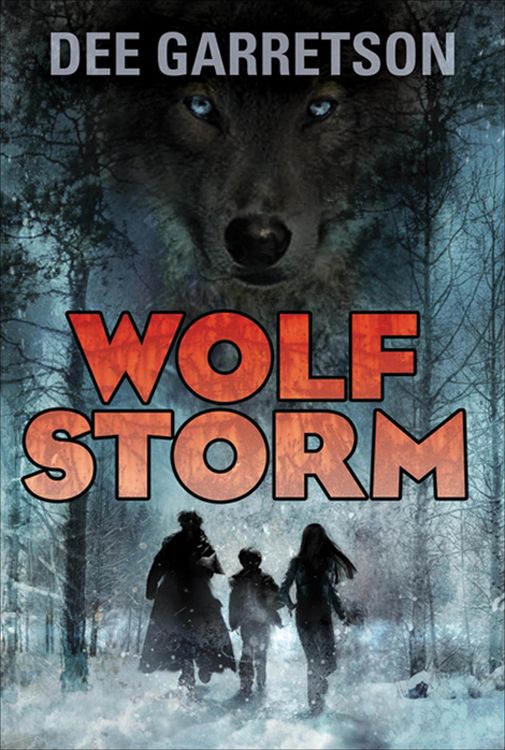 Produktbild: Wolf Storm