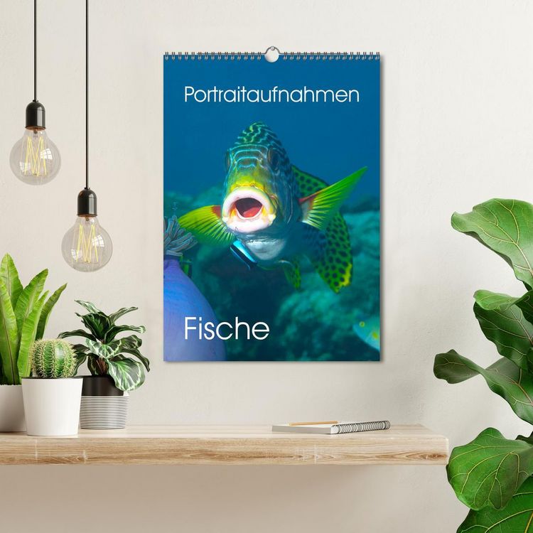 Produktbild: Portraitaufnahmen - Fische (Wandkalender 2026 DIN A3 hoch), CALVENDO Monatskalender