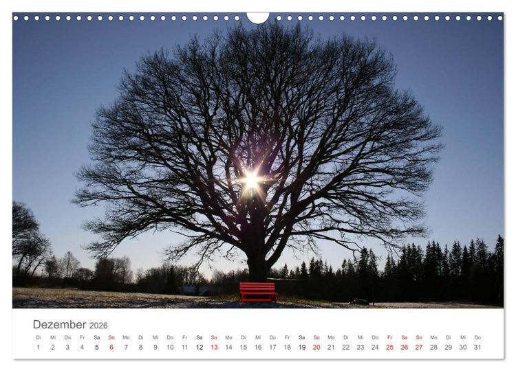 Produktbild: Meine Lieblingspl&auml;tze in S&uuml;dschweden (Wandkalender 2026 DIN A3 quer), CALVENDO Monatskalender