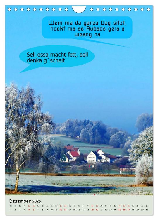 Produktbild: Schw&auml;bische Sprichw&ouml;rter - so gsaid (Wandkalender 2026 DIN A4 hoch), CALVENDO Monatskalender