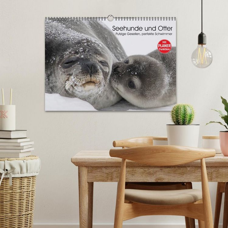 Produktbild: Seehunde und Otter. Putzige Gesellen, perfekte Schwimmer (Wandkalender 2026 DIN A3 quer), CALVENDO Monatskalender