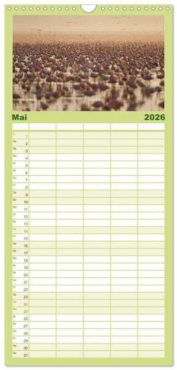 Produktbild: Familienplaner 2026 - Emotionale Momente: Afrika Wildlife. Part 3. mit 5 Spalten (Wandkalender, 21 x 45 cm) CALVENDO