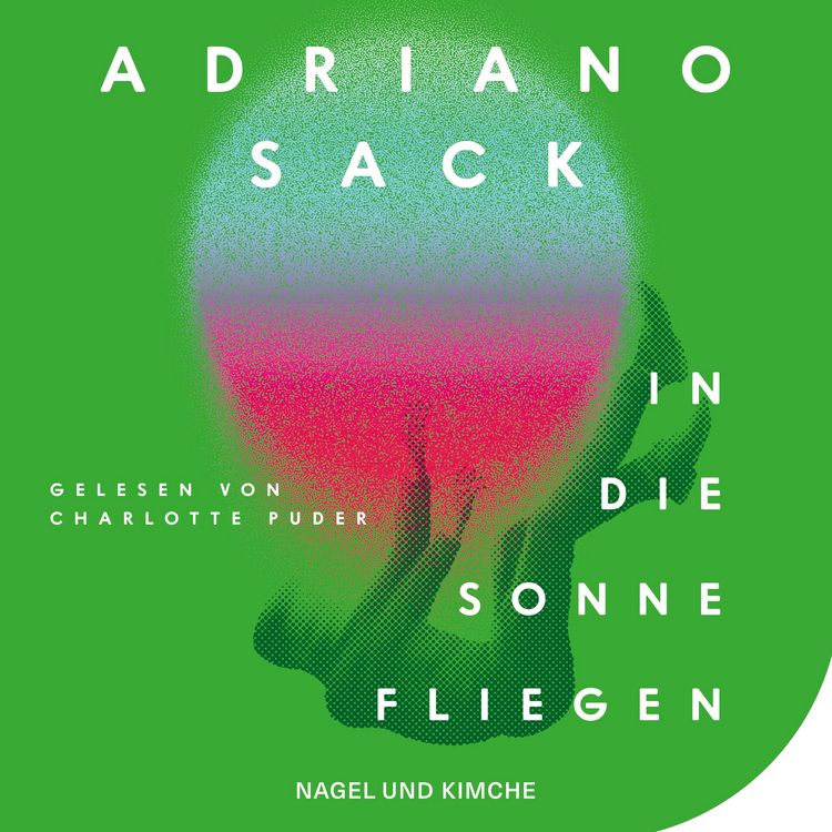Produktbild: In die Sonne fliegen