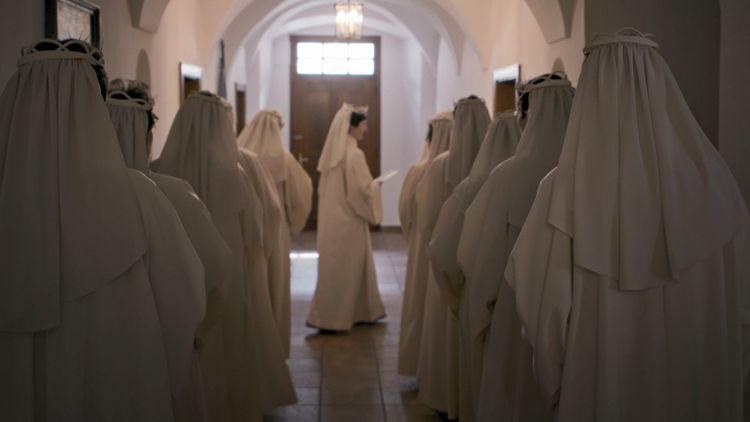 Produktbild: Verteidiger des Glaubens - Das scheitern eines Papstes