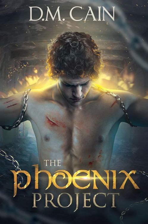 Produktbild: The Phoenix Project