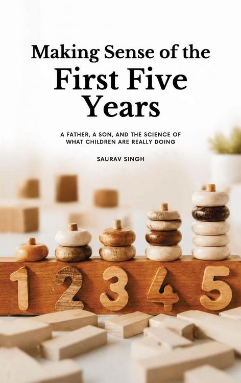 Produktbild: Making Sense of the First Five Years