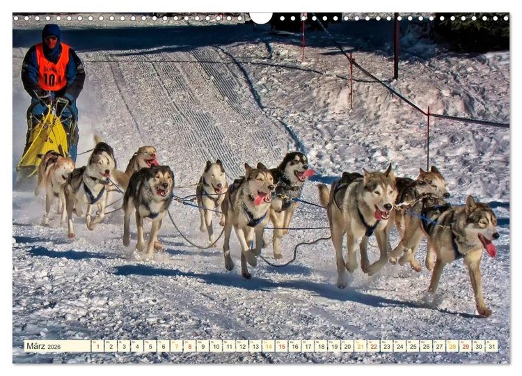 Produktbild: B&uuml;hne frei f&uuml;r - Alaska (Wandkalender 2026 DIN A3 quer), CALVENDO Monatskalender