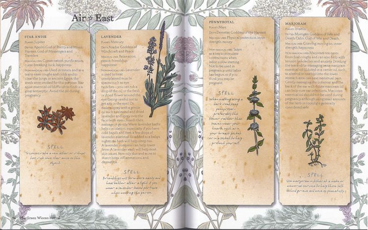 Produktbild: The Green Wiccan Book of Herbs