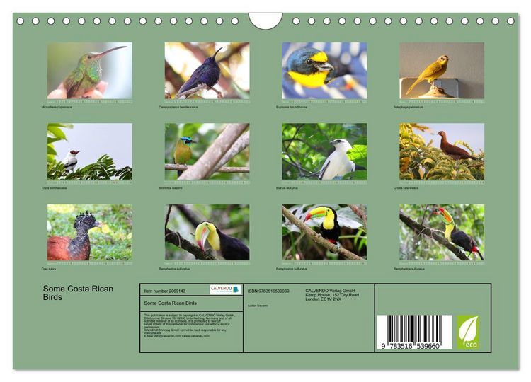 Produktbild: Some Costa Rican Birds (Wall Calendar 2026 DIN A4 landscape), CALVENDO 12 Month Wall Calendar