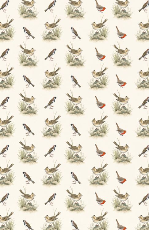 Produktbild: Vom Gl&uuml;ck des Vogelgesangs