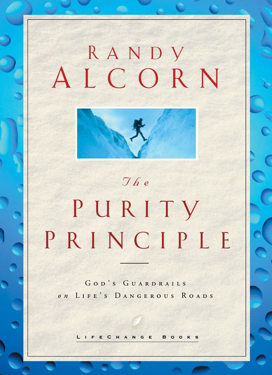 Produktbild: The Purity Principle