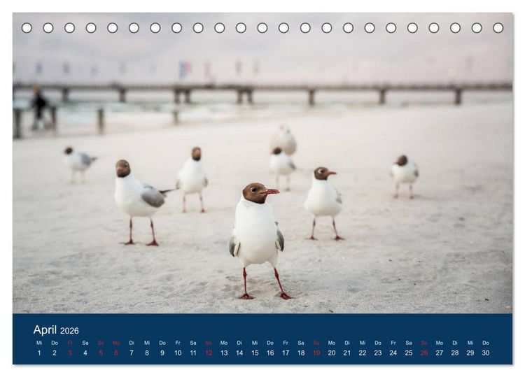 Produktbild: Ostseezauber (Tischkalender 2026 DIN A5 quer), CALVENDO Monatskalender