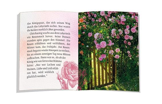 Produktbild: Das Geheimnis der Rose