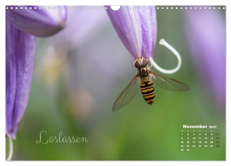 Produktbild: Bl&uuml;ten,Fl&uuml;gel und Gedanken &ndash; Ein Jahr in Bildern und Worten (Wandkalender 2027 DIN A3 quer), CALVENDO Monatskalender