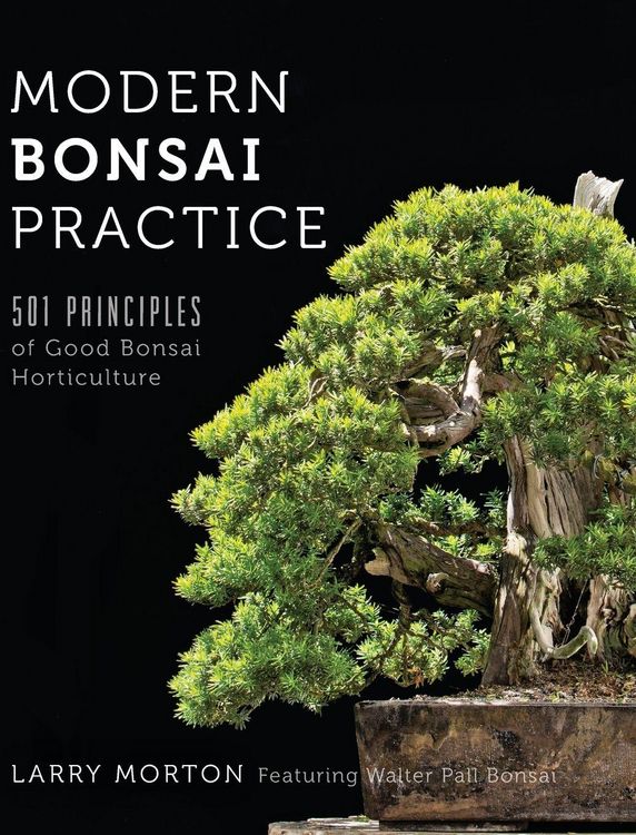 bonsai aus wald Bonsai-Wald aus Metall  Bonsai winkel
