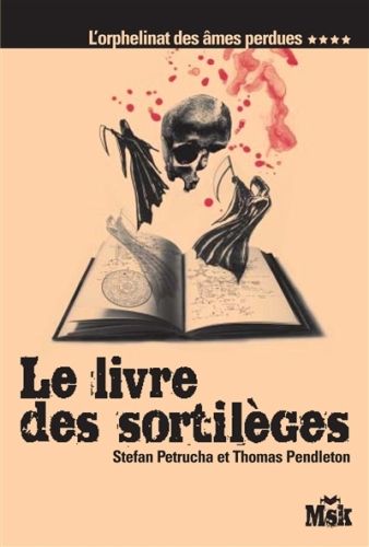 Produktbild: Le Livre Des Sortileges